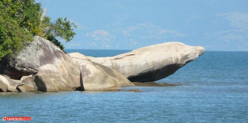 Apto Lindo E Aconchegante Com Piscina 202A Карагуататуба Экстерьер фото